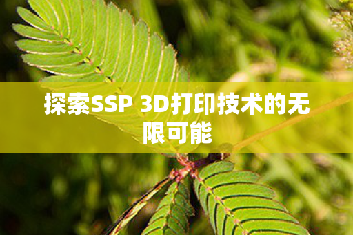 探索SSP 3D打印技术的无限可能图片