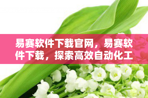 探索高效自动化工具的选择与体验图片