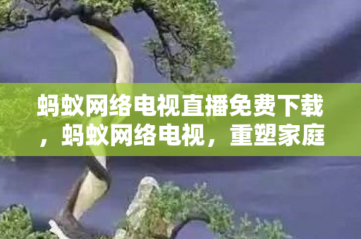 蚂蚁网络电视直播免费下载图片