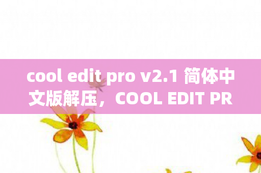 cool edit pro v2.1 简体中文版解压，COOL EDIT PRO V2.1 简体中文版，音频编辑的得力助手