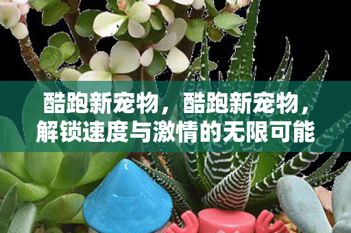 酷跑新宠物，酷跑新宠物，解锁速度与激情的无限可能