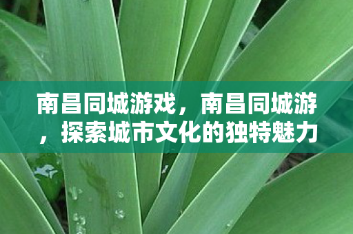 南昌同城游戏，南昌同城游，探索城市文化的独特魅力