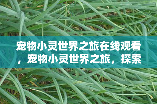 宠物小灵世界之旅在线观看图片