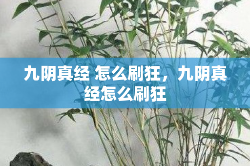 九阴真经 怎么刷狂图片