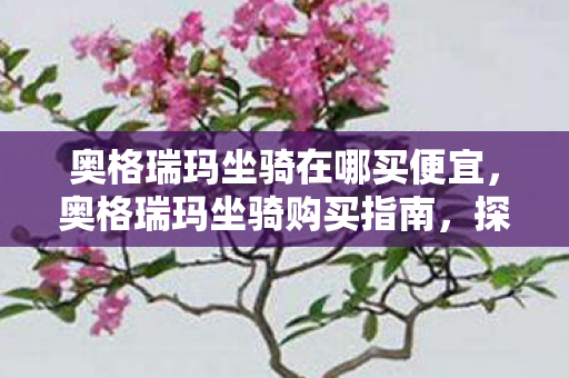 奥格瑞玛坐骑在哪买便宜图片