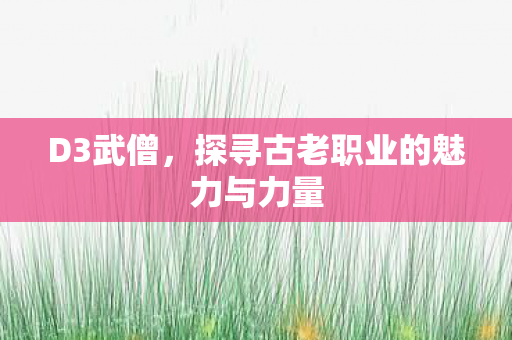 D3武僧，探寻古老职业的魅力与力量