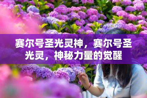 赛尔号圣光灵神图片