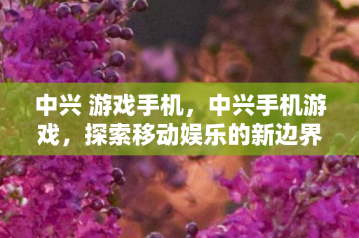 探索移动娱乐的新边界图片