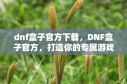 打造你的专属游戏宝藏图片