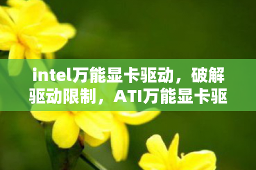 ATI万能显卡驱动全解析图片