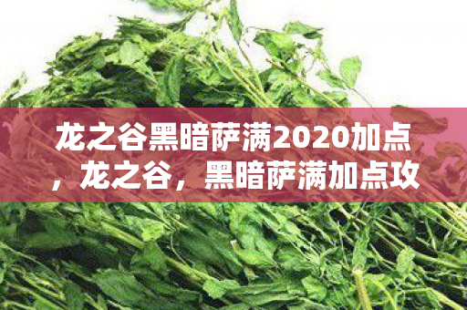 龙之谷黑暗萨满2020加点图片