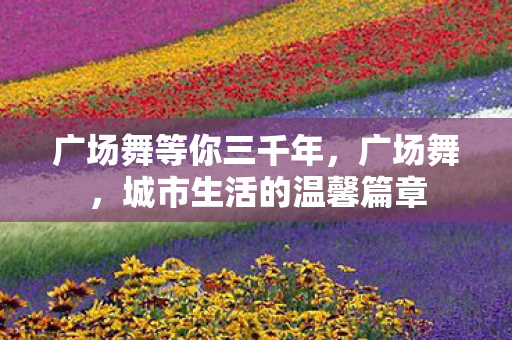 城市生活的温馨篇章图片