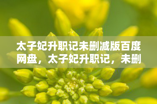 太子妃升职记未删减版百度网盘图片