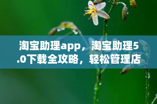 淘宝助理app图片
