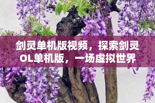 一场虚拟世界的冒险之旅图片