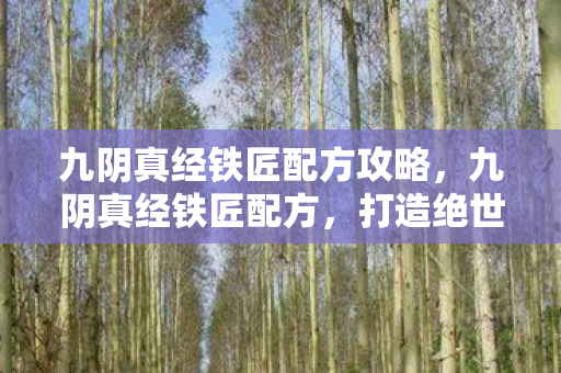 九阴真经铁匠配方攻略图片