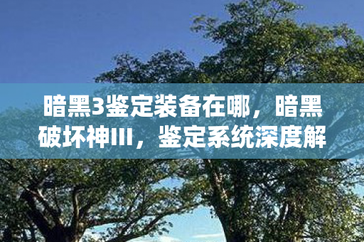 暗黑3鉴定装备在哪，暗黑破坏神III，鉴定系统深度解析