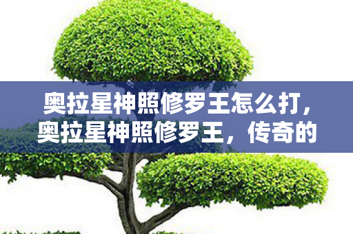 奥拉星神照修罗王怎么打图片