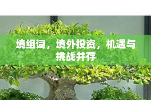 机遇与挑战并存图片