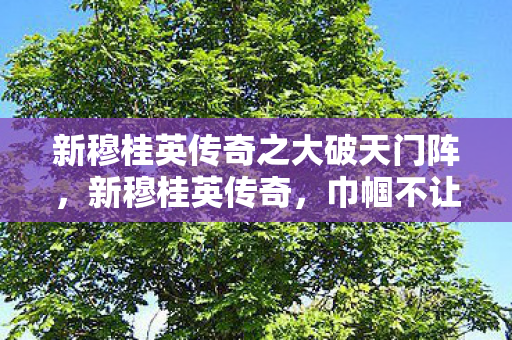 新穆桂英传奇之大破天门阵图片