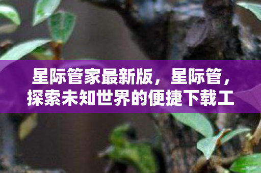 探索未知世界的便捷下载工具图片