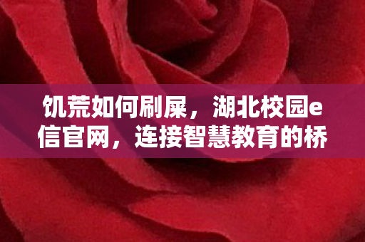 连接智慧教育的桥梁图片