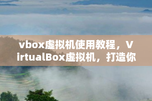 VirtualBox虚拟机图片