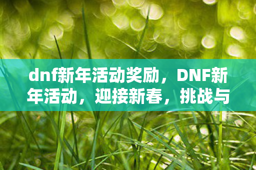 dnf新年活动奖励图片