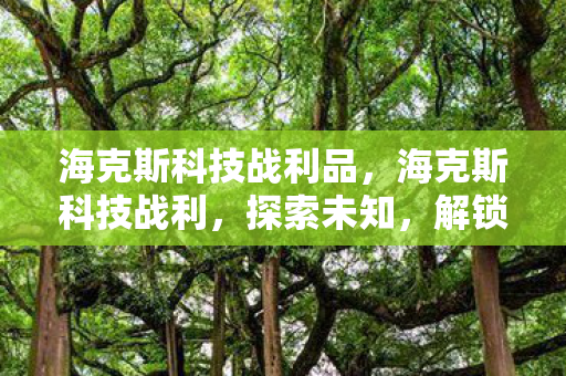 海克斯科技战利品图片