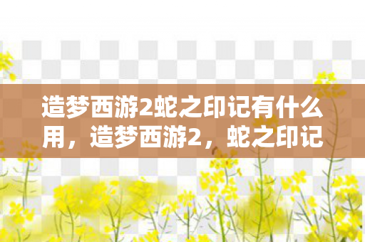 造梦西游2蛇之印记有什么用图片