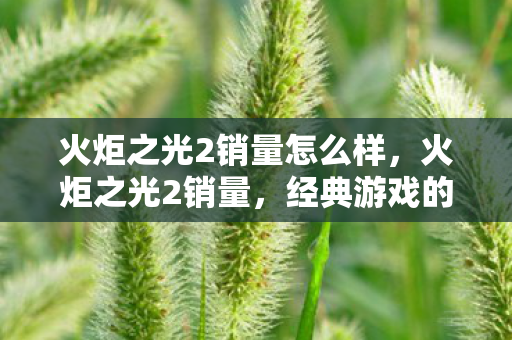 火炬之光2销量怎么样图片