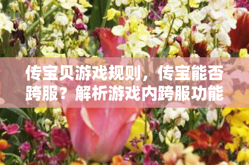 解析游戏内跨服功能的可能性图片