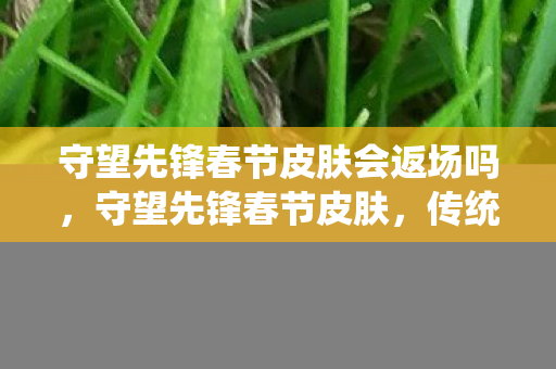 守望先锋春节皮肤会返场吗图片