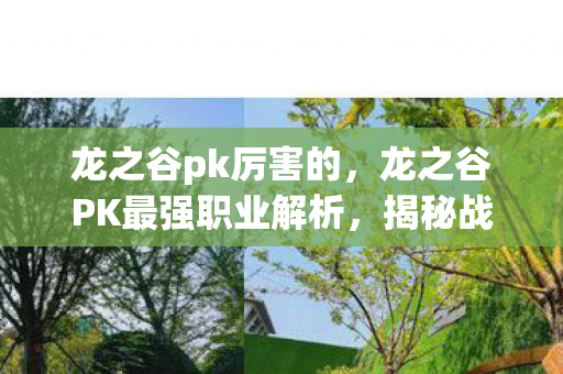 龙之谷PK最强职业解析图片