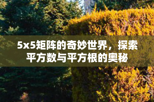 探索平方数与平方根的奥秘图片