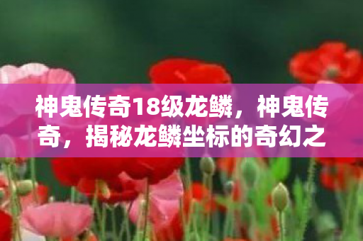 揭秘龙鳞坐标的奇幻之旅图片