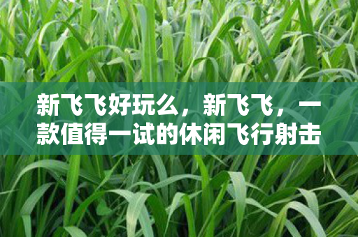 一款值得一试的休闲飞行射击游戏图片