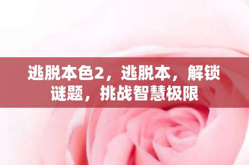 挑战智慧极限图片