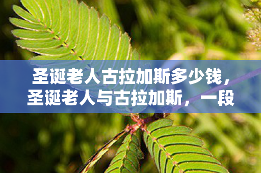 圣诞老人古拉加斯多少钱图片