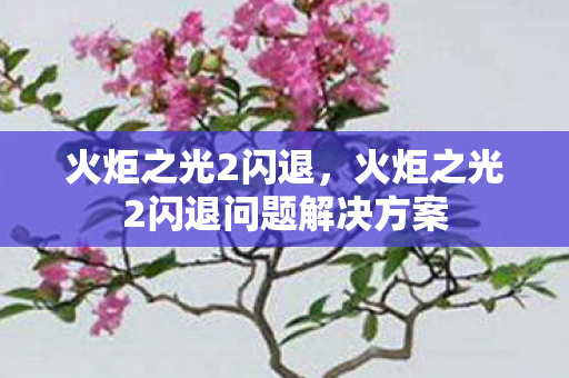 火炬之光2闪退问题解决方案图片