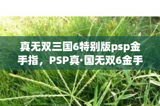 真无双三国6特别版psp金手指图片