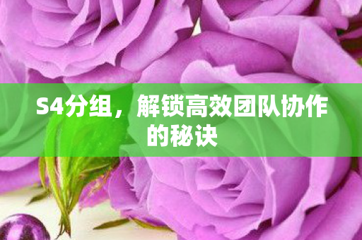 解锁高效团队协作的秘诀图片