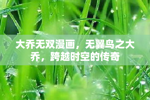 跨越时空的传奇图片