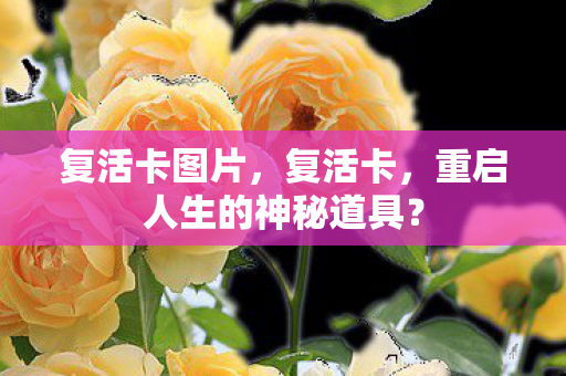 重启人生的神秘道具图片