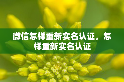 微信怎样重新实名认证图片