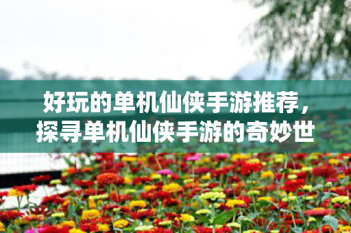 探寻单机仙侠手游的奇妙世界图片