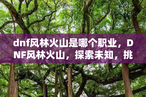 dnf风林火山是哪个职业图片