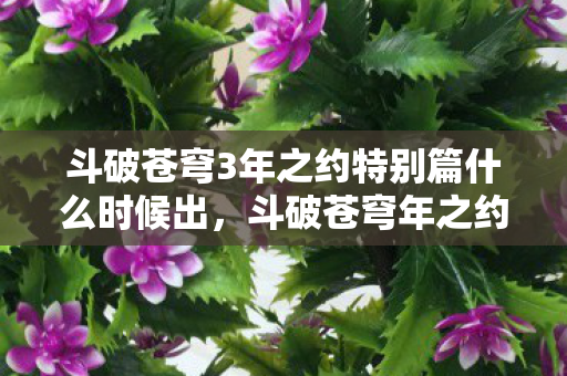 斗破苍穹3年之约特别篇什么时候出图片