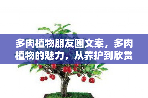 从养护到欣赏的全方位指南图片