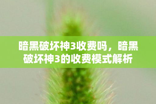 暗黑破坏神3收费吗，暗黑破坏神3的收费模式解析